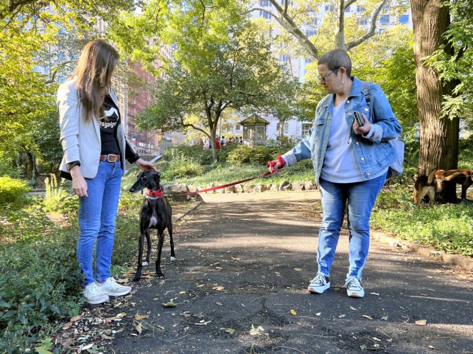 Aitana llega a Nueva York huyendo del maltrato animal en España