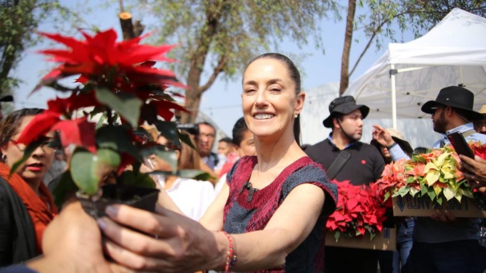 Claudia Sheinbaum invita a comprar Flor de Nochebuena en Xochimilco (FOTOS)