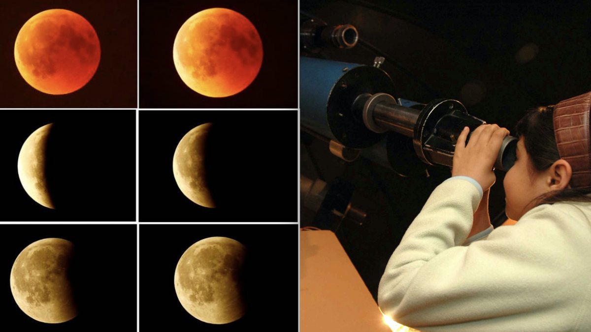 En todo México se podrá apreciar el eclipse total de Luna en noviembre ...