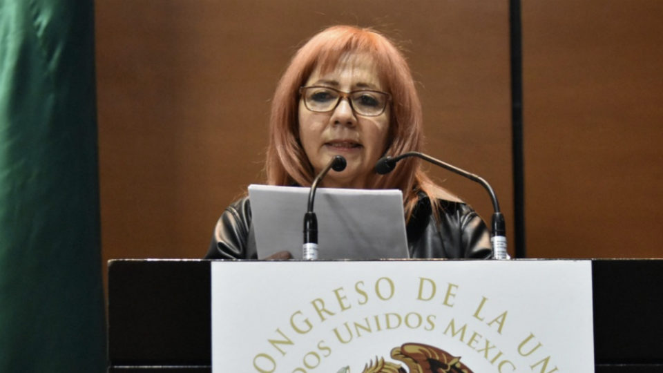 Pide Rosario Piedra "con anticipación" formato para comparecencia en el Senado