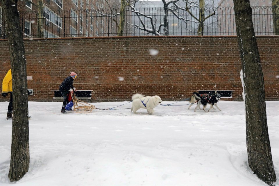 Una tormenta recubre parte del estado de Nueva York con dos metros de nieve