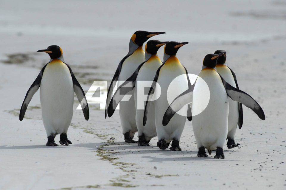 Foto: AFP