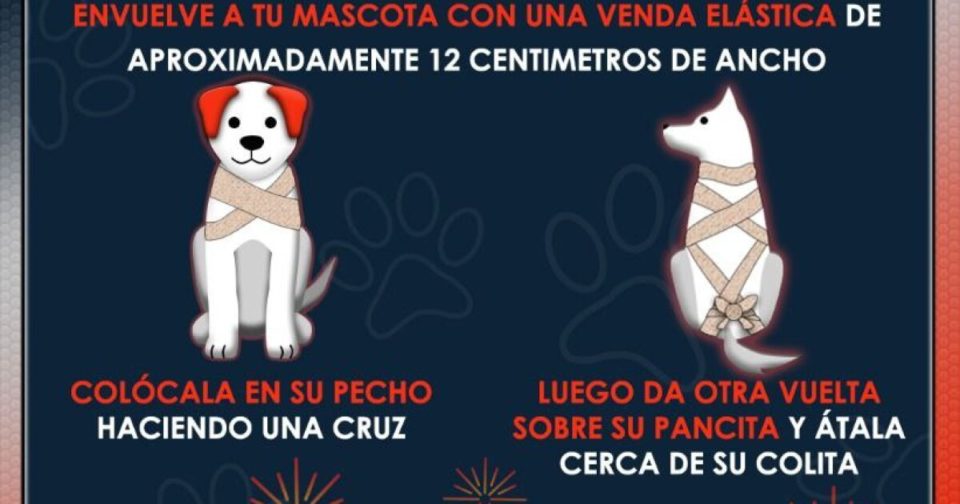 Tips para proteger a tus mascotas del ruido de la pirotecnia