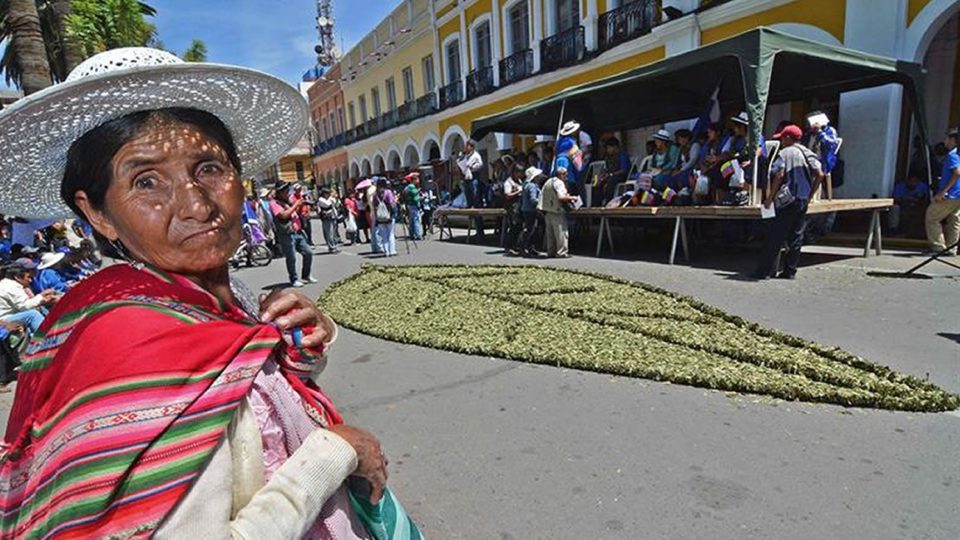 Bolivia busca la desclasificación de la hoja de coca de la lista de estupefacientes