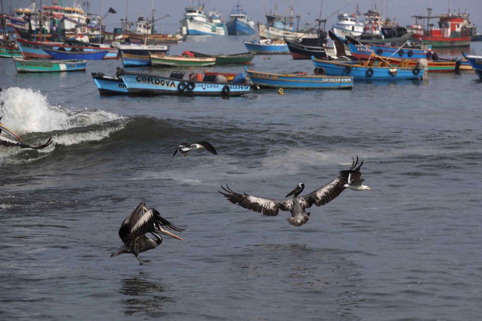 Las playas de Ancón, un año cerradas por el derrame de Repsol en Perú