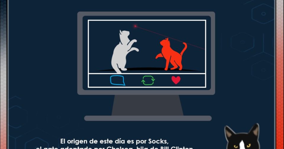 Día Internacional del Gato: La historia de Socks