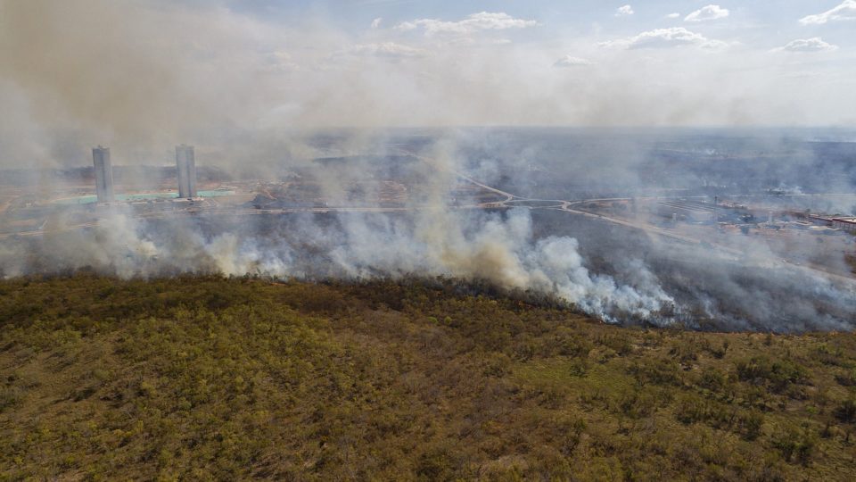 La deforestación de la Amazonía brasileña marca histórico en febrero