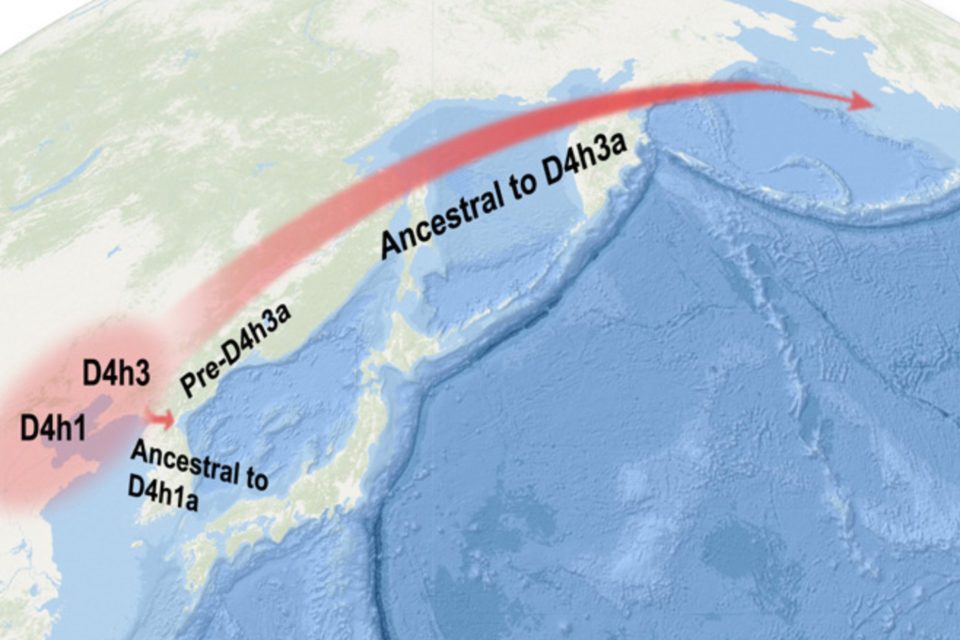 ADN revela las migraciones humanas en la Edad de Hielo, desde China hacia América