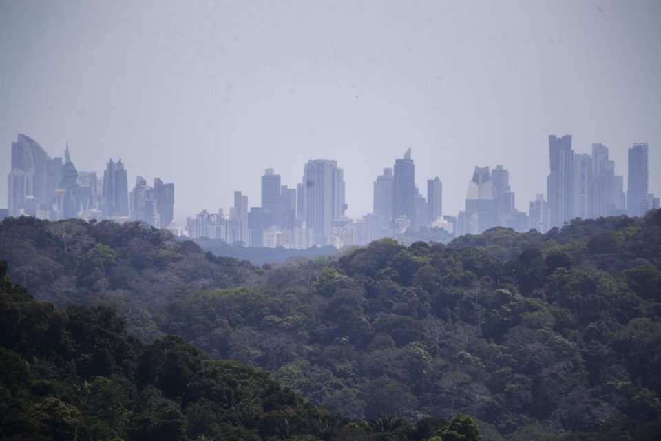 Ambientalistas denuncian que México no ha actualizado metas de emisiones de carbono