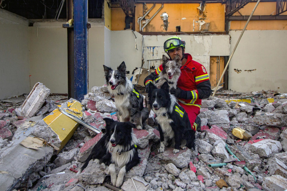Entrenamiento de perros de rescate cobra popularidad en México debido a sismos