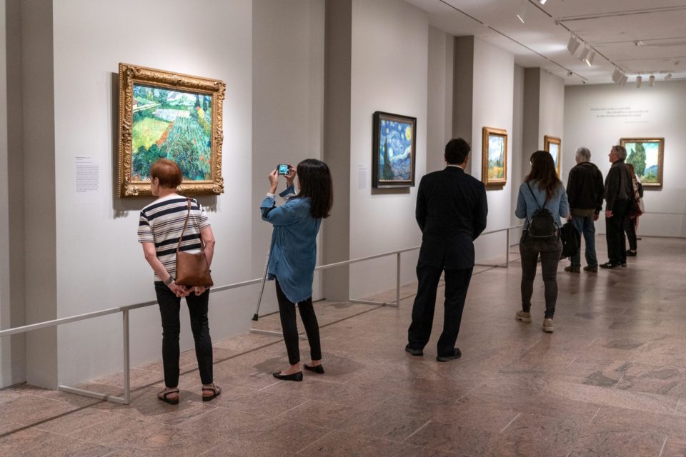 Exposición en el MET revela la fascinación de Van Gogh por los cipreses hasta su muerte