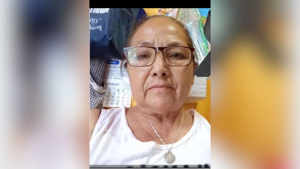 AMLO informó que ya hay un detenido por el asesinato de Teresa Magueyal, madre buscadora de Guanajuato.