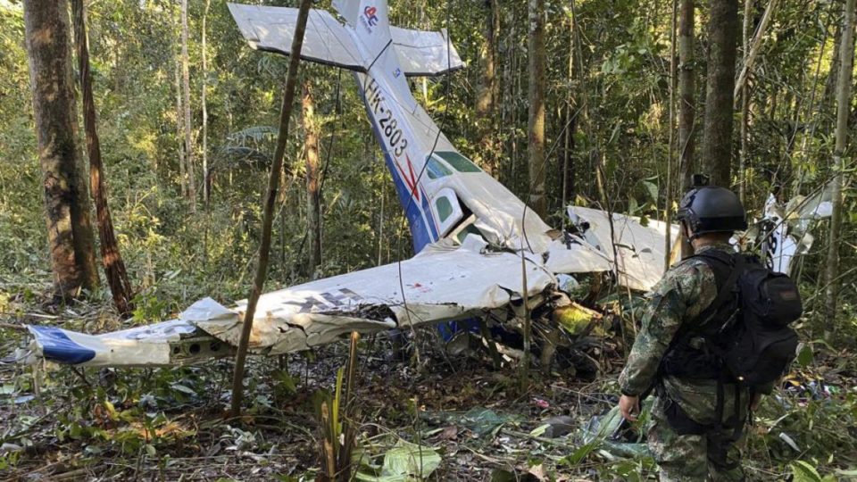 Para sobrevivir, esto hicieron los niños rescatados en la selva de Colombia