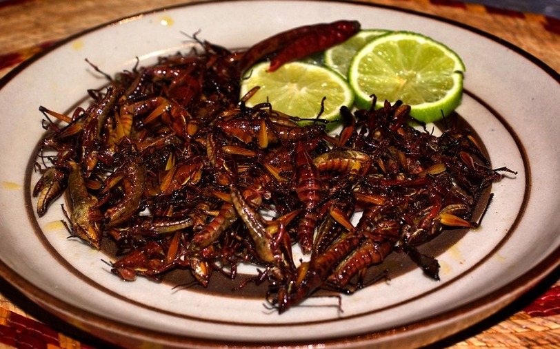 chapulines receta